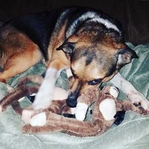 Meet your Posher, Tammy